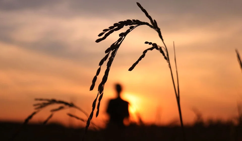কোটি টাকার ছবি কোটি টাকার ছবি