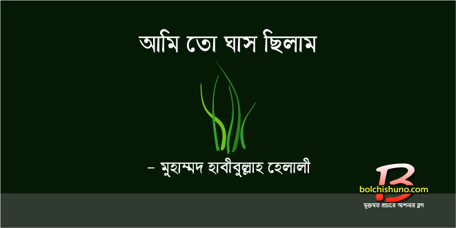 আমি তো ঘাস ছিলাম